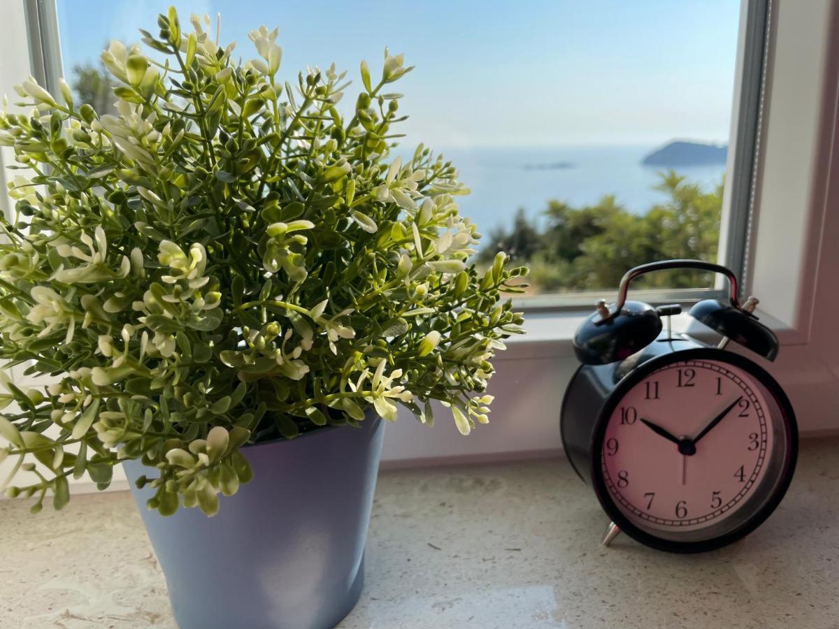 Apartment Zrinka Cavtat Buitenkant foto